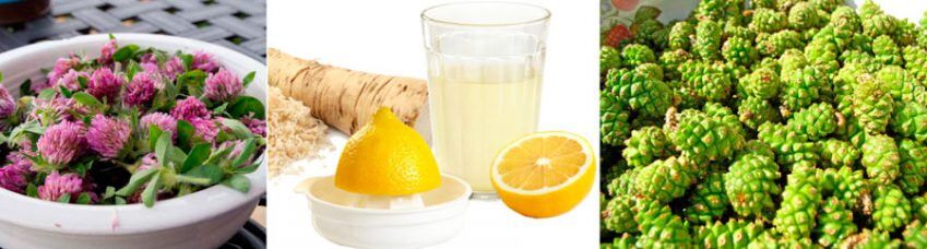 Beyin fonksiyonlarını iyileştirmek için geleneksel yöntemler